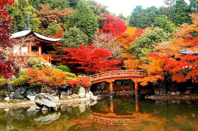 Kyoto City