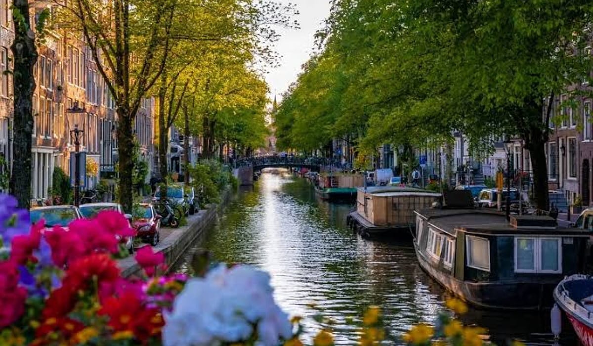 Amsterdam city : A Journey into the Heart of Dutch Culture and Art